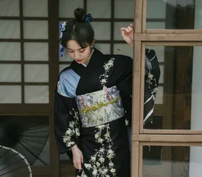 Black Japanese Kimono Dress