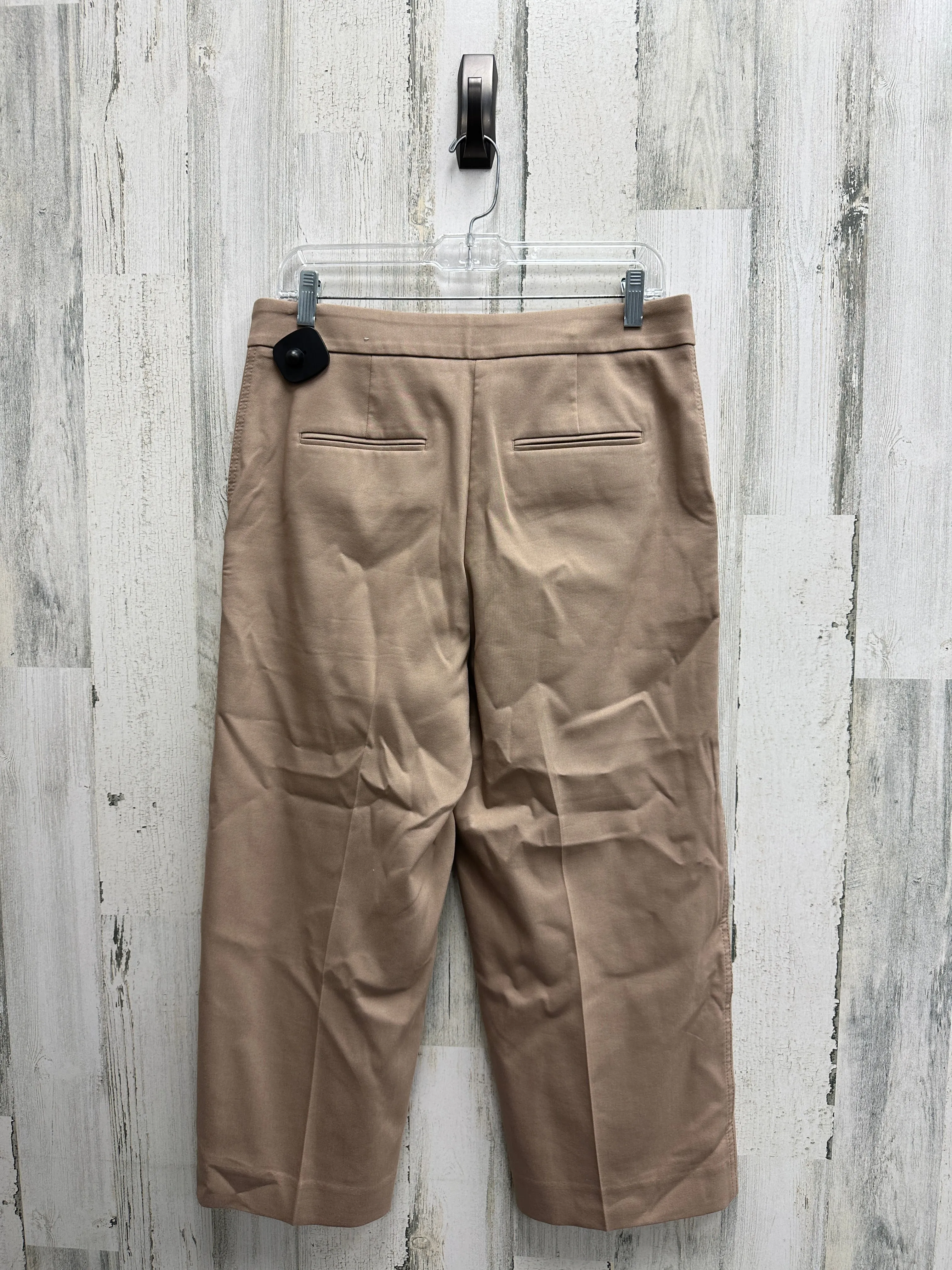 Pants Ankle By Ann Taylor  Size: 10