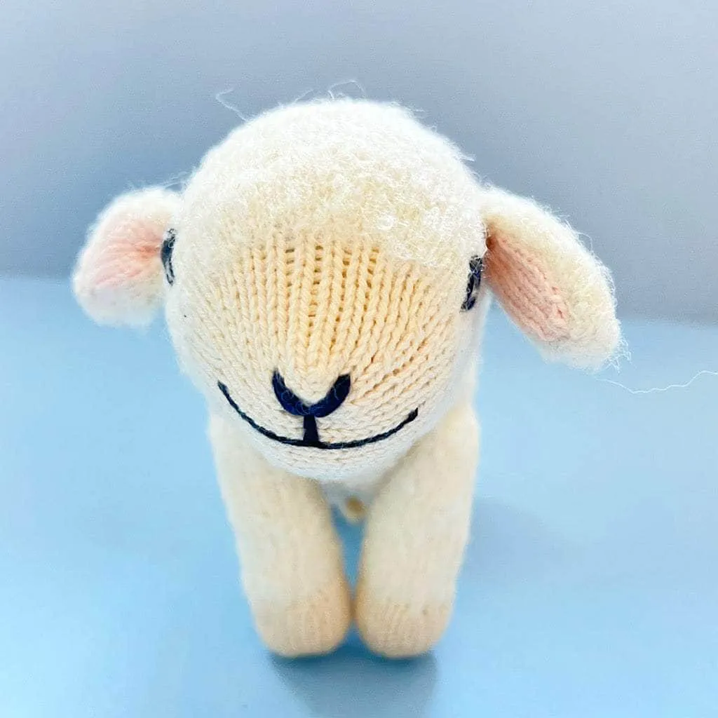Pure Embrace Essential Newborn Bundle