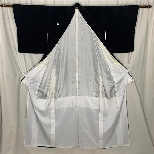 "Surprise Me" Tomesode Kimono
