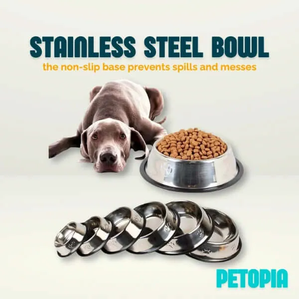 Stainless Steel Non-slip Dog Feeding Bowl