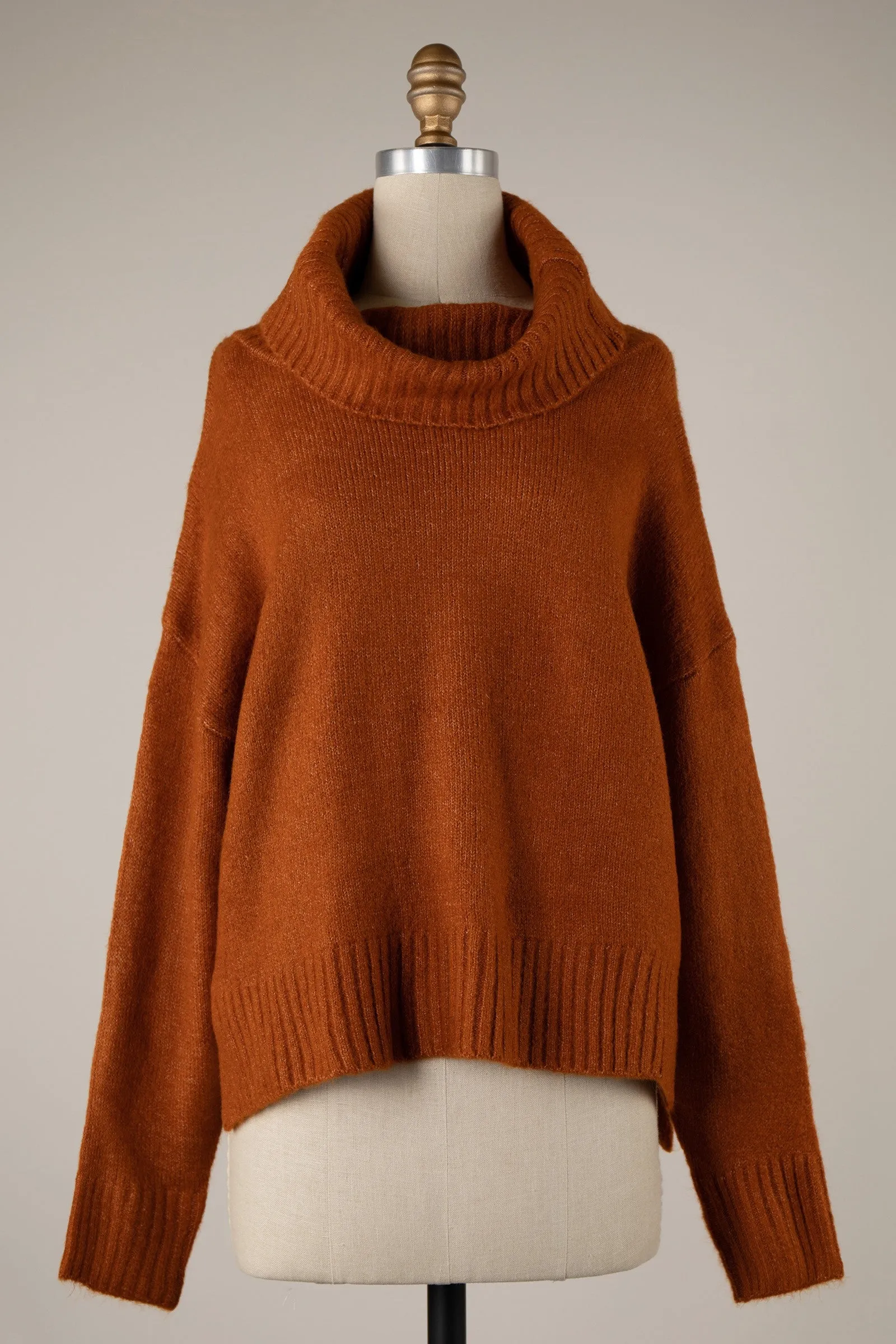 Wide Turtleneck Knit Crop Sweater