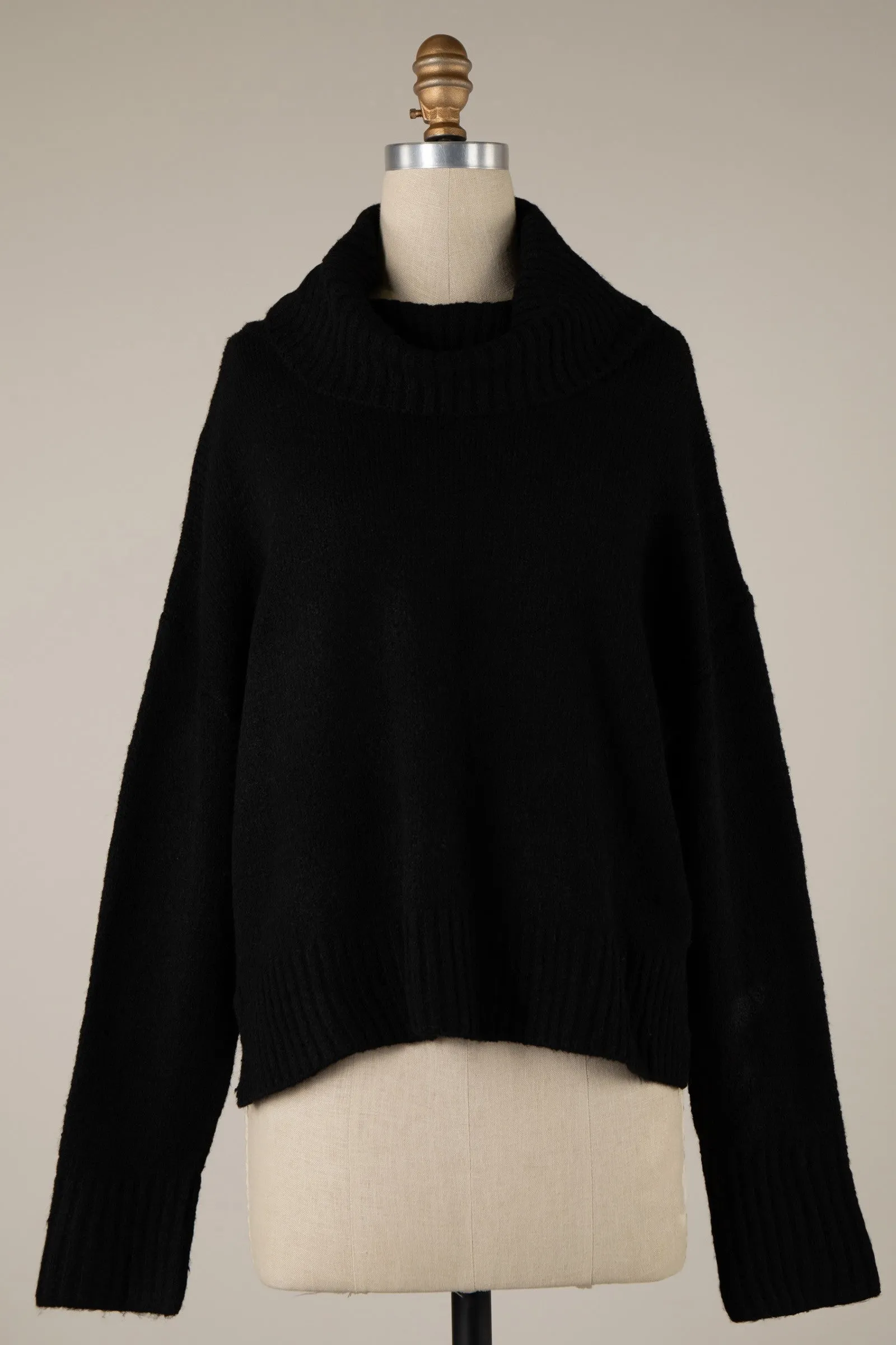 Wide Turtleneck Knit Crop Sweater