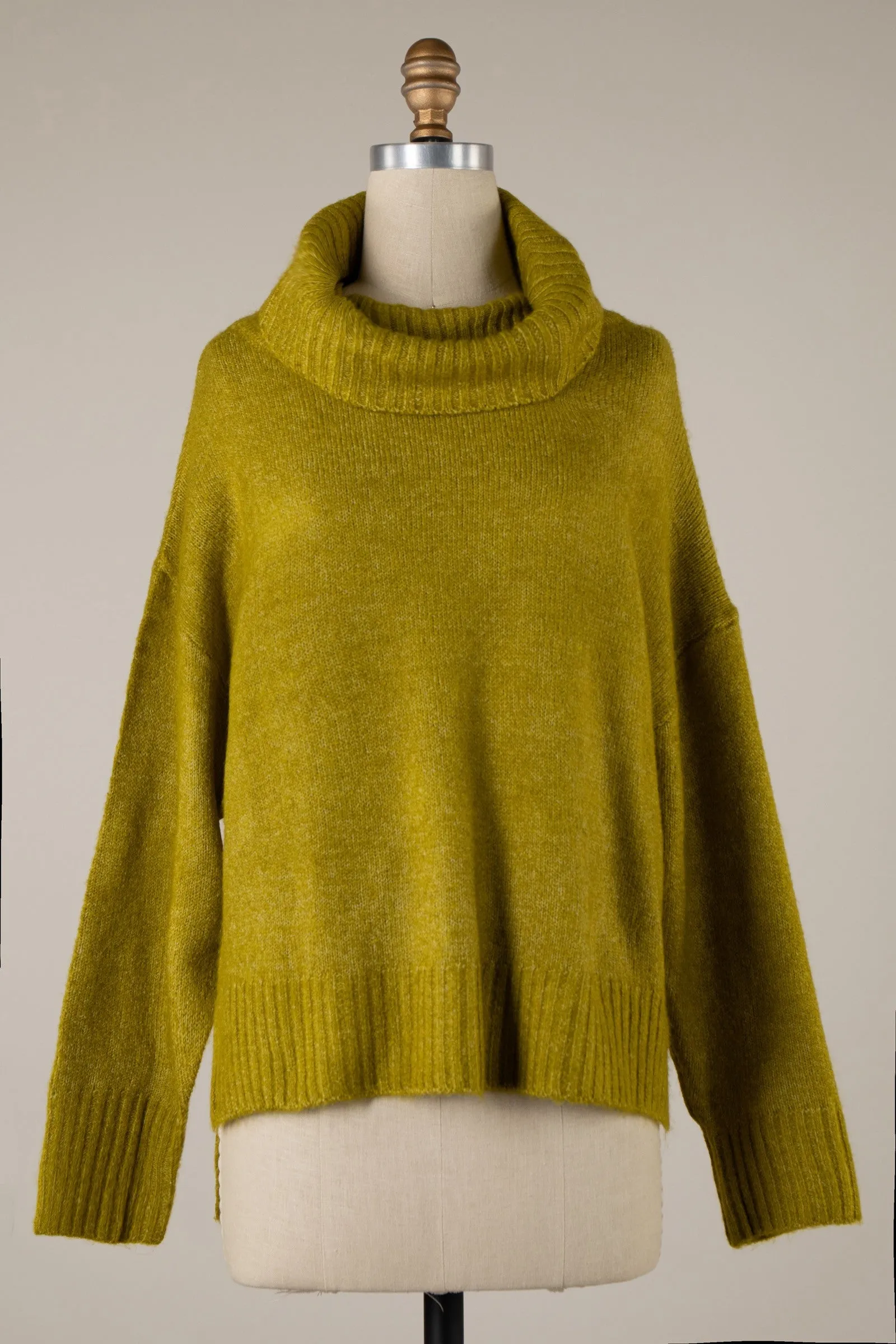 Wide Turtleneck Knit Crop Sweater