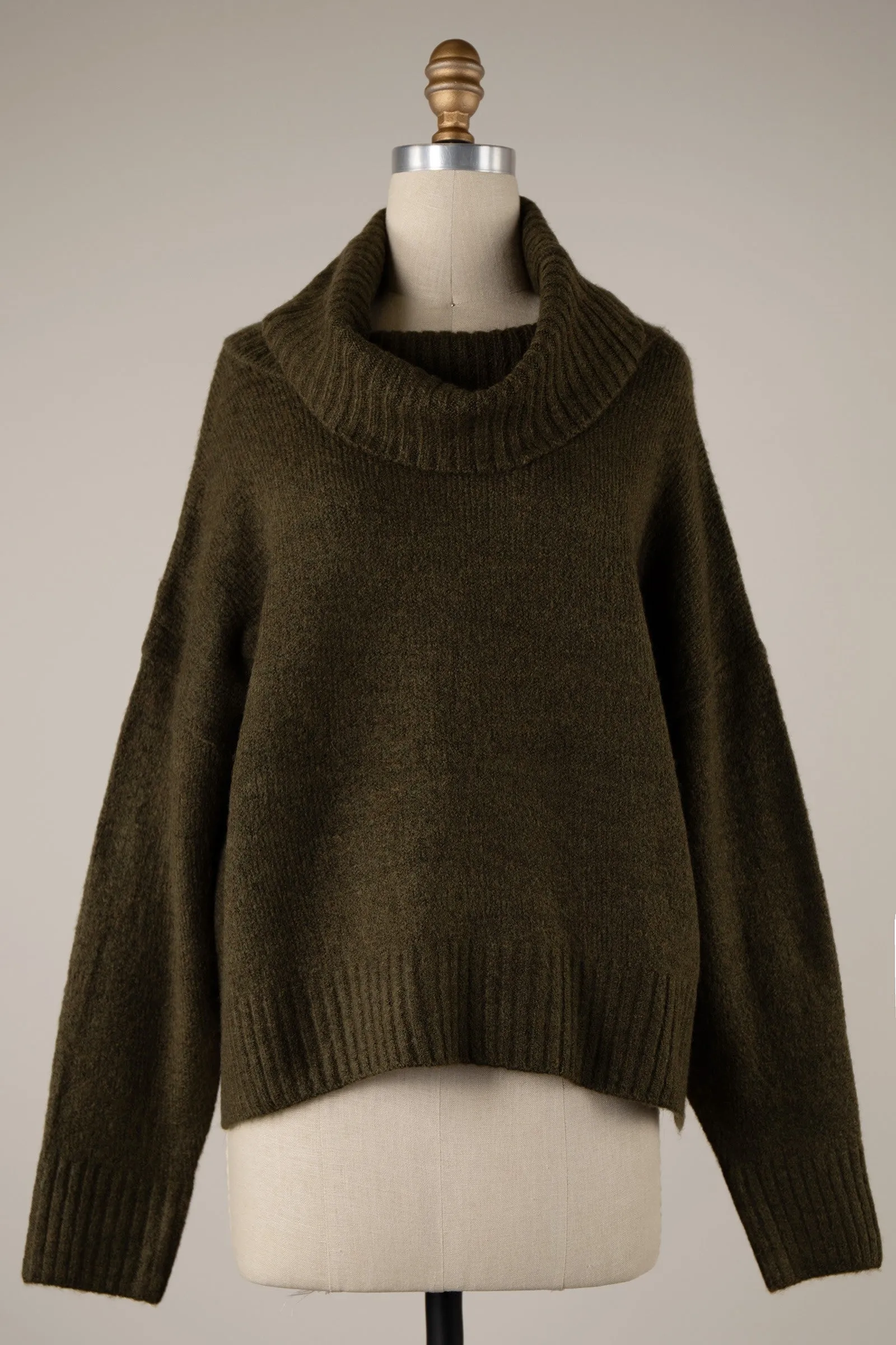 Wide Turtleneck Knit Crop Sweater