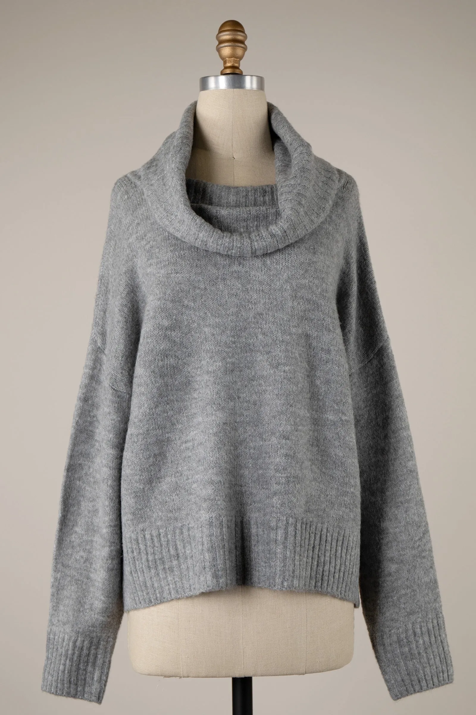Wide Turtleneck Knit Crop Sweater