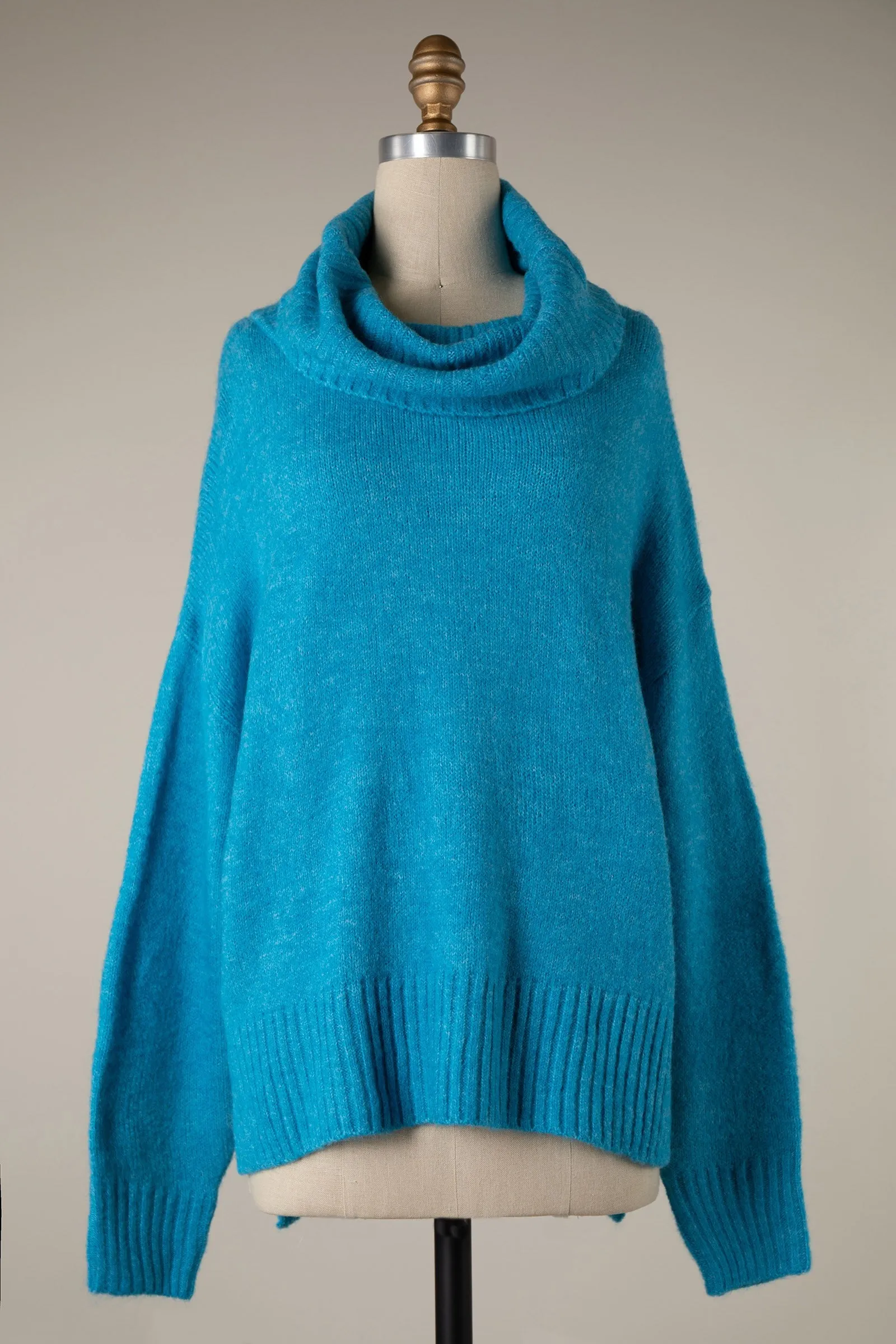 Wide Turtleneck Knit Crop Sweater