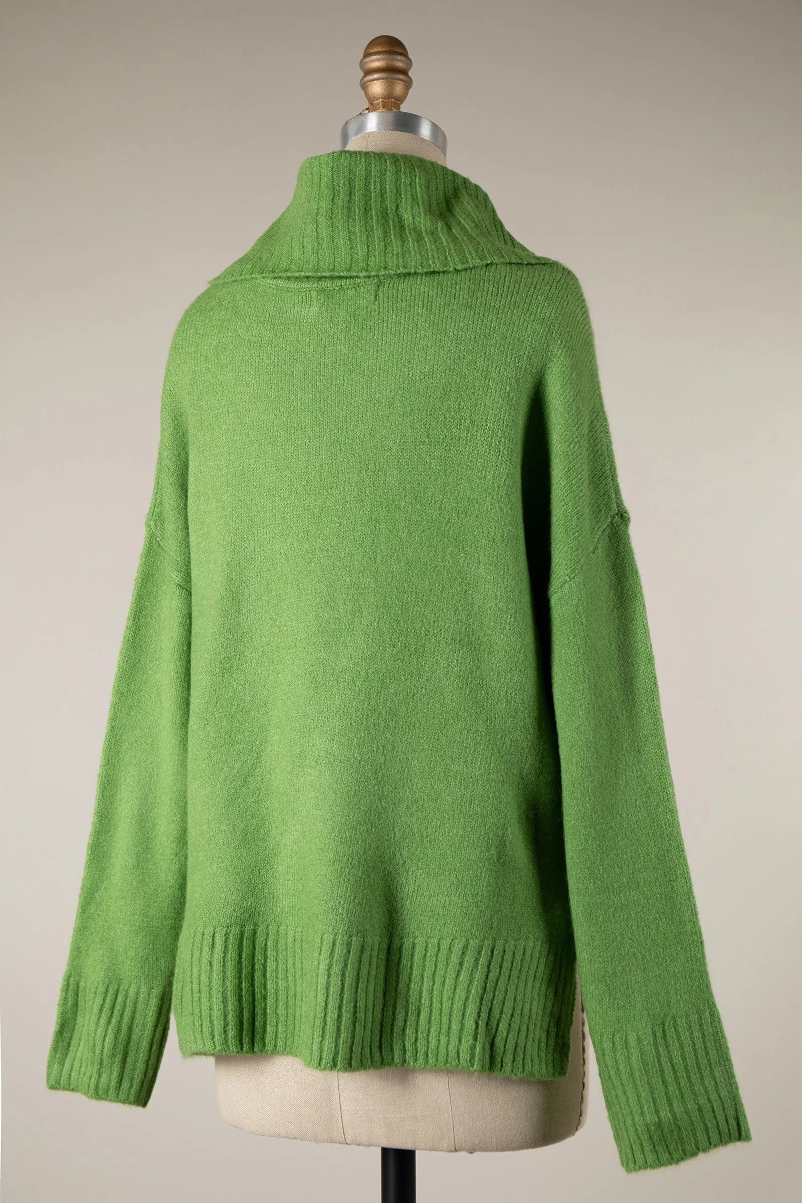 Wide Turtleneck Knit Crop Sweater