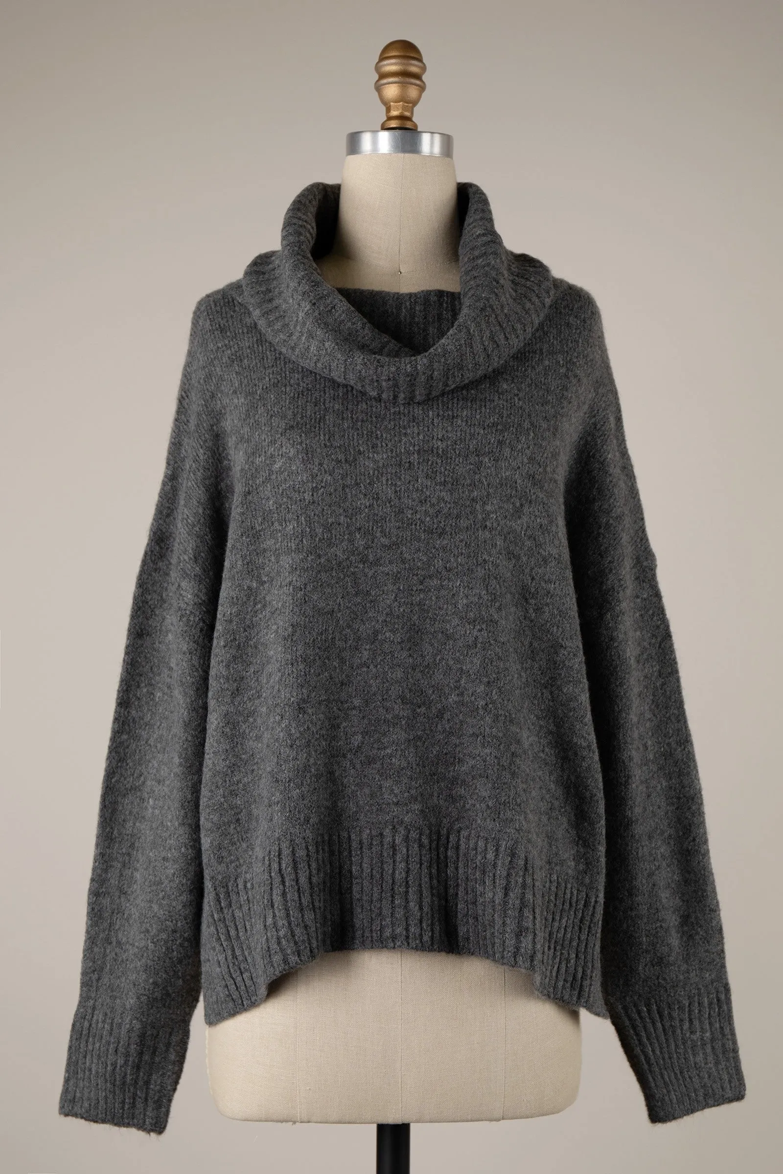 Wide Turtleneck Knit Crop Sweater