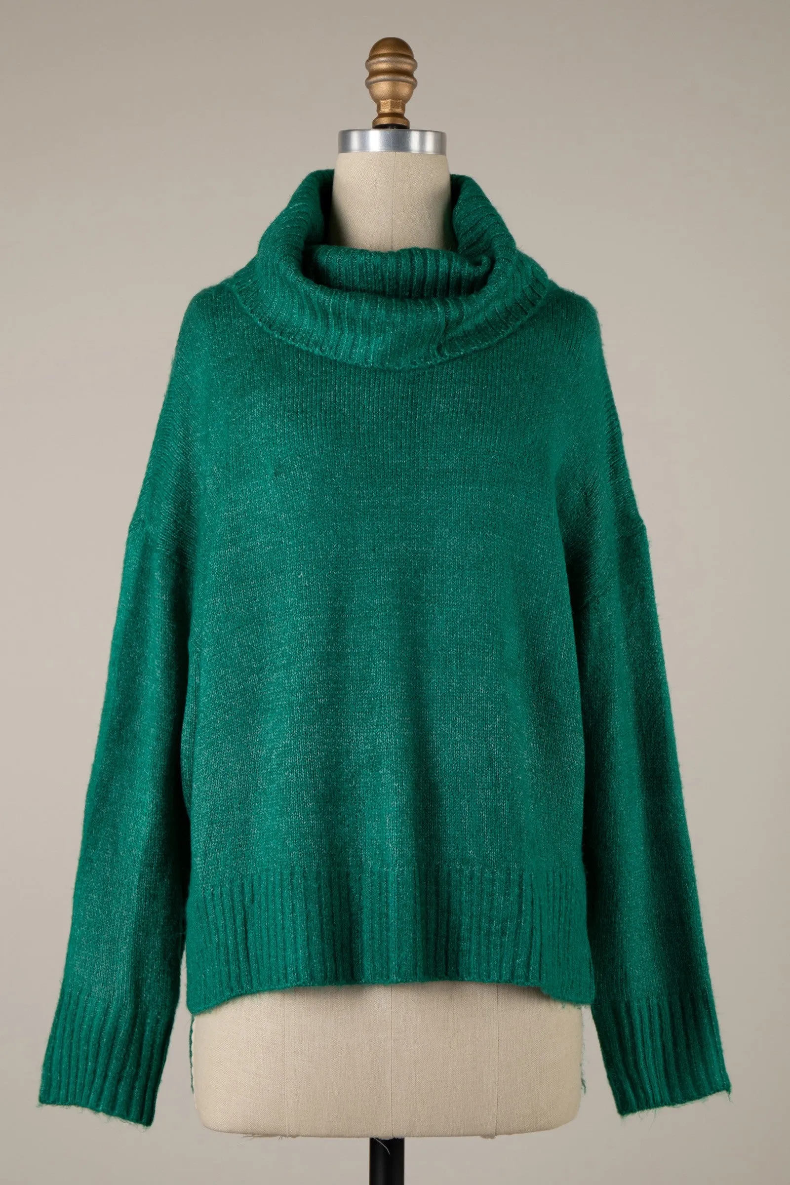 Wide Turtleneck Knit Crop Sweater