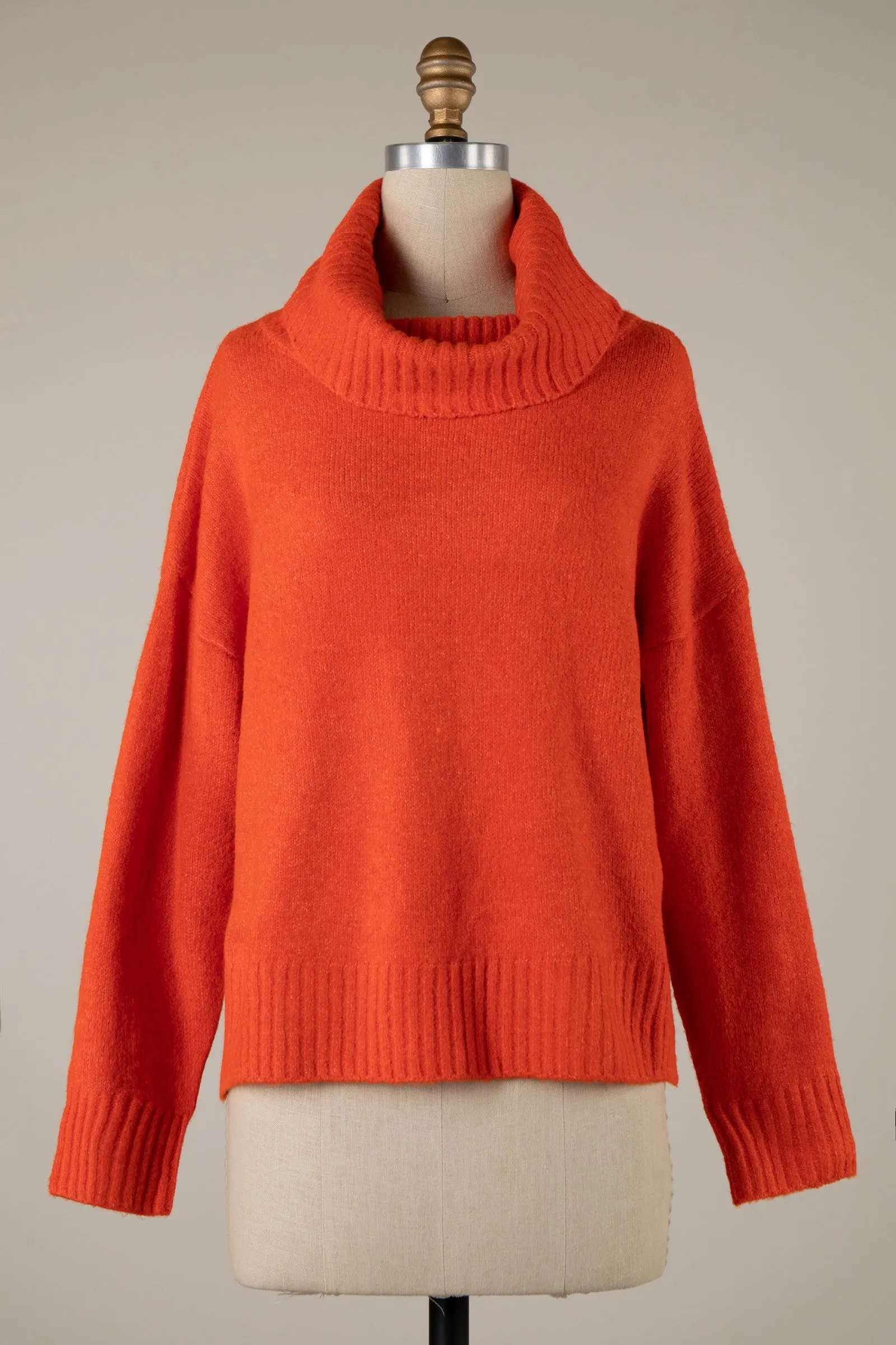 Wide Turtleneck Knit Crop Sweater