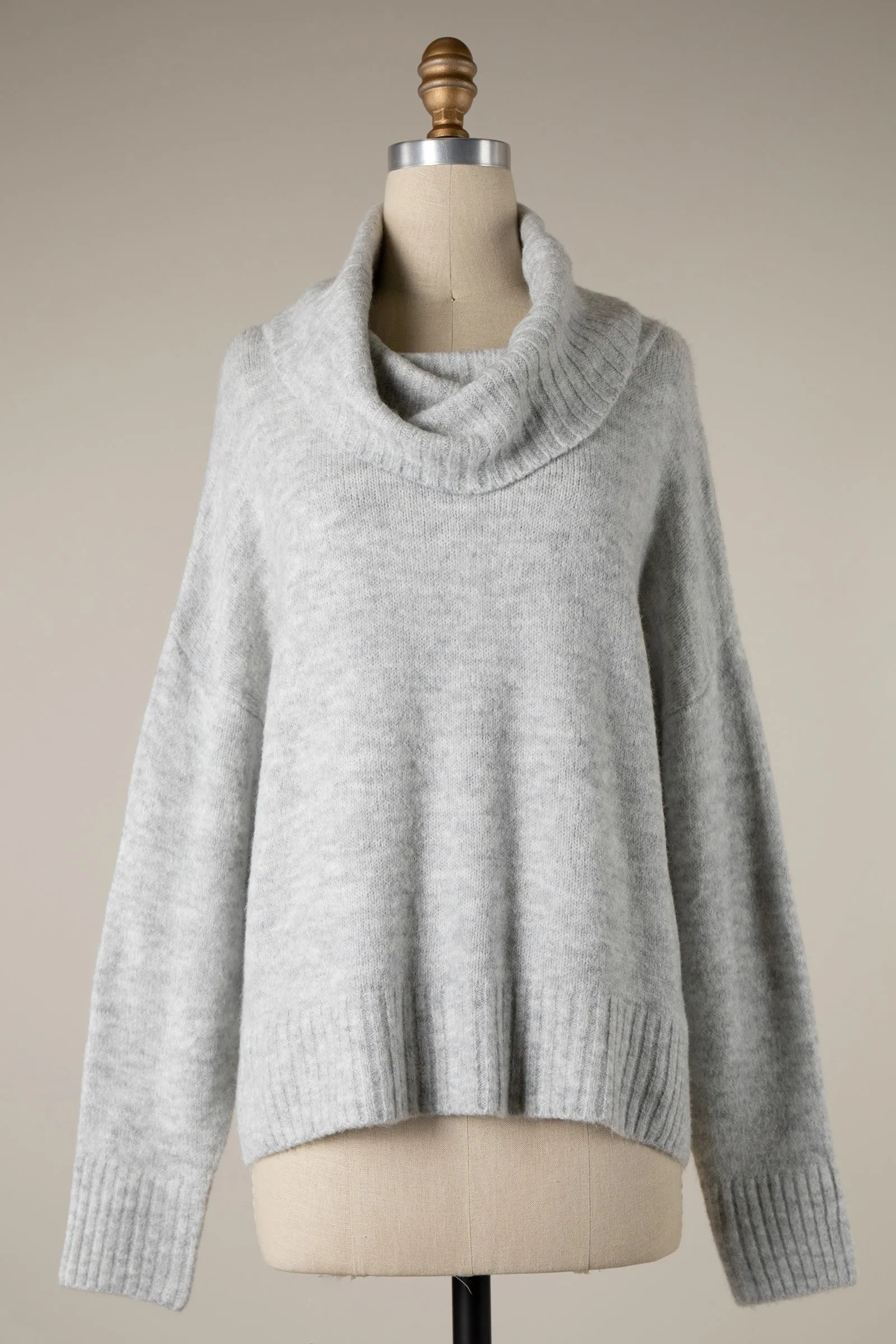 Wide Turtleneck Knit Crop Sweater