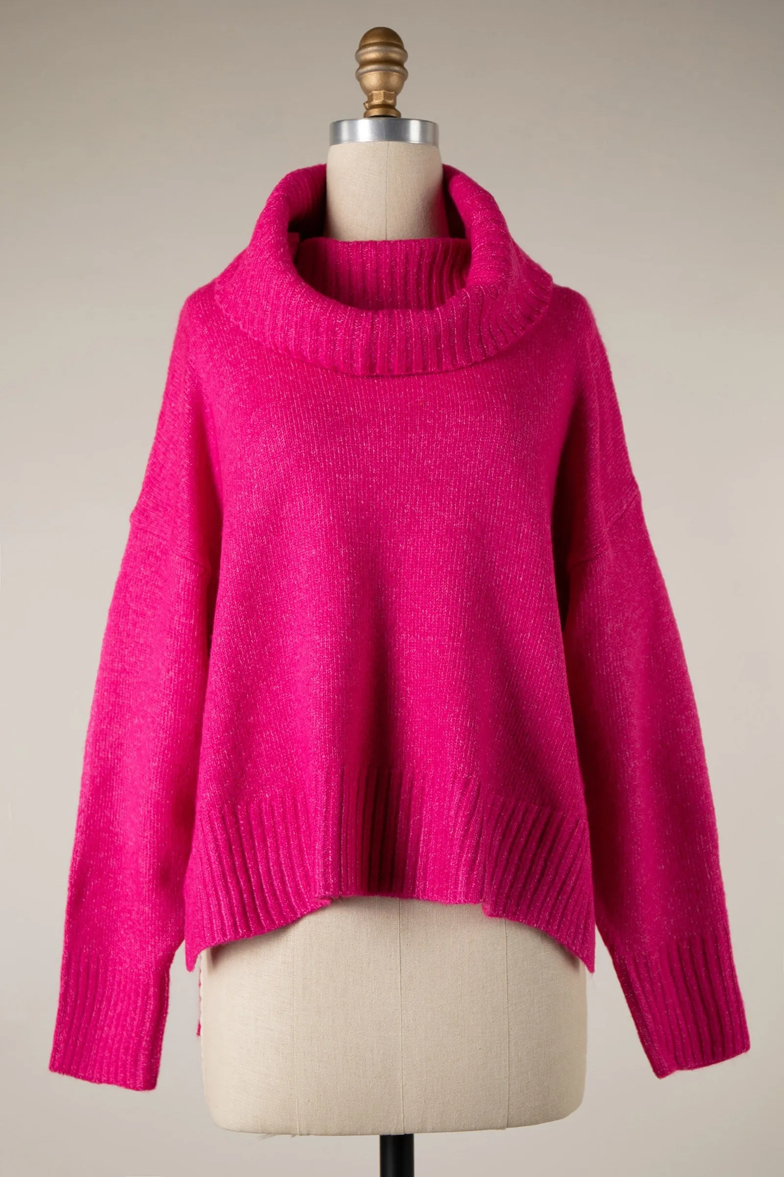 Wide Turtleneck Knit Crop Sweater
