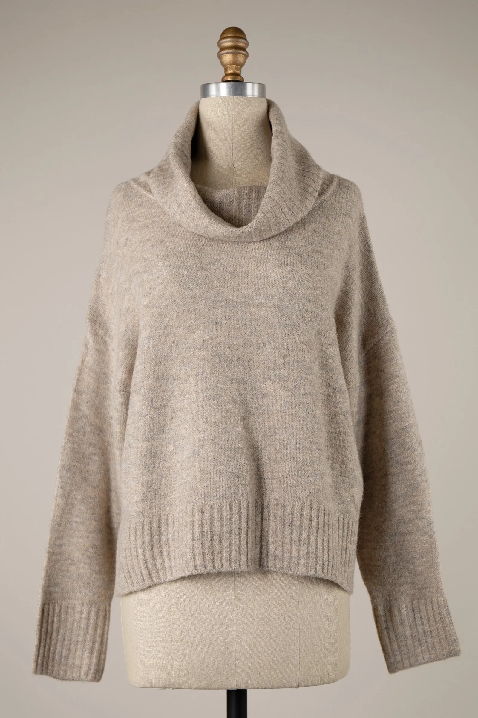 Wide Turtleneck Knit Crop Sweater